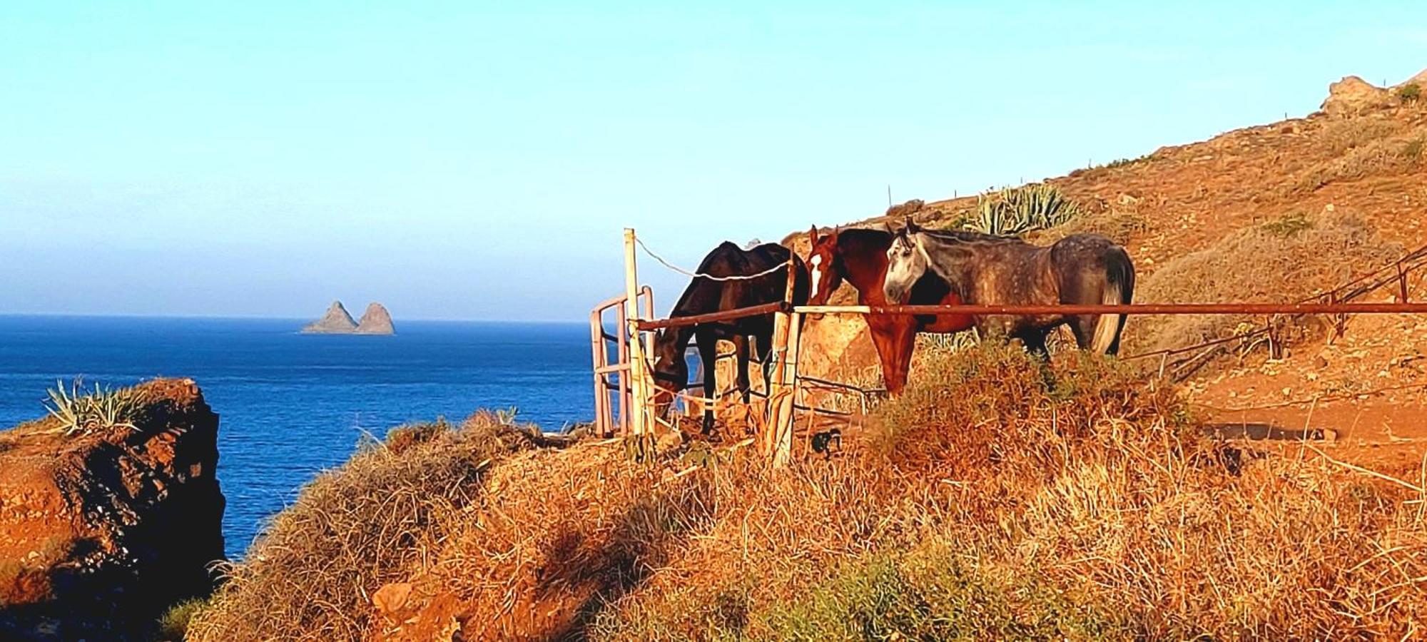 Casa Tucho Paraiso Sea Sound Santa Cruz de Tenerife Zewnętrze zdjęcie